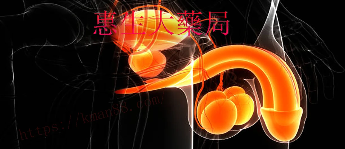 勃起硬度不足的常見原因與改善方法完整解析