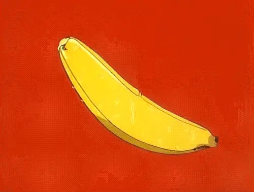 陰莖發育示意圖